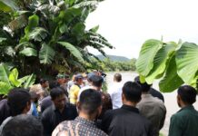 Bupati Irwan Tinjau Tanggul Jebol di Desa Alam Buana, Janjikan Penanganan Segera