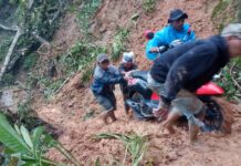 Longsor Tutup Jalan Trans Sulawesi Mangkutana, Hanya Motor Bisa Lewat