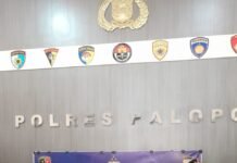 Gelar Jumpa Pers, Kapolres Palopo Beberkan Kronologi Pembunuhan Fenny Ere