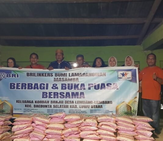 Brilinkers Lutra dan Lutim Salurkan Ratusan Paket Bantuan Sembako untuk Korban Banjir di Desa Lembang – lembang