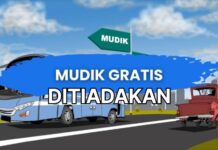 Mudik Lebaran Gratis di Luwu Timur Tahun Ini Ditiadakan, Anggaran Rp. 800 Juta Dicoret ?
