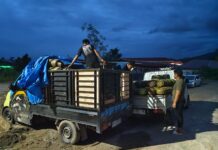 Sejak Februari, Polres Luwu Timur Sudah Amankan 1.961 Tabung Gas Subsidi dan 8 Unit Mobil