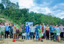Tanam Pohon Serentak untuk Ketahanan Pangan dan Masa Depan Bumi, PT Vale IGP Pomalaa Kolaborasi dengan Gubernur Sultra