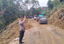 Sempat Tertutup Material Longsor, Jalan Trans Sulawesi Mangkutana Sudah Bisa Dilewati Kendaraan