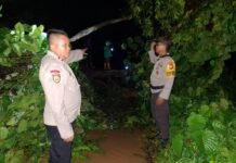 Akibat Diguyur Hujan, Longsor Terjadi di Jalan Trans Penghubung Kecamatan Sabbang dan Rongkong