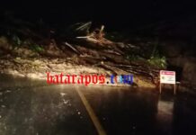 Tanah Longsor Kembali Tutup Jalan Trans Sulawesi Mangkutana
