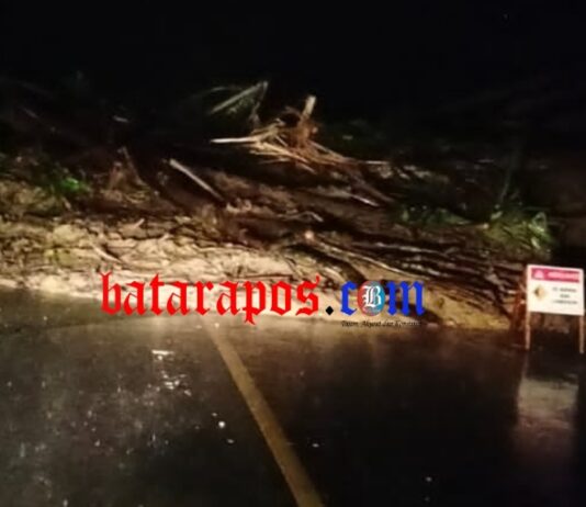 Tanah Longsor Kembali Tutup Jalan Trans Sulawesi Mangkutana