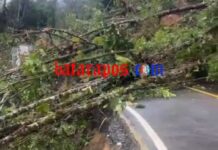 Longsor Lagi ! Jalan Trans Sulawesi Mangkutana Tertutup Total