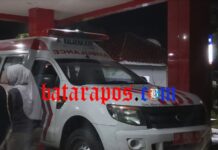 Kades Argomulyo Luwu Timur Dirujuk ke RSUD I Lagaligo, Minum Air Aki