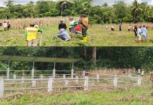 Pemdes Selli Bakal Optimalkan Kebun Desa dan Gandeng BUMDesa Mitra Kerja