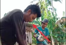 Ada Lagi Korban Baru Jual Beli Kelapa, Kali Ini Warga Gowa