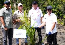 Bupati Morowali Utara Resmikan Penanaman Kebun Sawit di PT CAS
