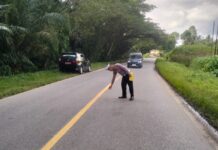 Tabrakan dengan Truck, Dua Pengedara Motor Asal Tomoni Tewas