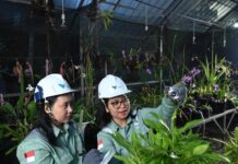 Wujudkan Pendidikan Berkualitas di Luwu Timur, Rektor Unhas: Green Mining PT Vale Jadi Pusat Vokasi Hilirisasi Indonesia Timur