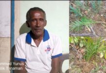 Oknum Wartawan di Mangkutana Dipolisikan, Diduga Rusak Tanaman Kakao dan Sawit Milik Petani