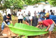 Berbagi Keberkahan Idul Adha, Polres Morowali Utara Bagikan Daging Kurban