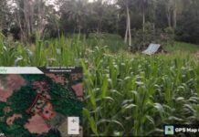 Begini Penampakan Tanah Tukar Guling Ahli Waris Rani, Hanya 70 Are Tanpa SPPT PBBÂ