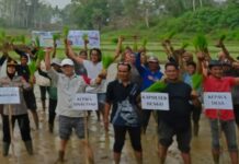 Tahun Ini Kucuran Dana Segar Terserap di Kecamatan Bengo, Bupati Bone Lirik Desa Samaenre