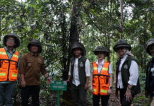 Menteri Kehutanan Sebut Reklamasi Pasca Tambang PT Vale Hampir Sama dengan Kehidupan Alam