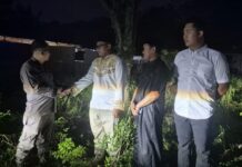 Kajari Morowali Utara Serahkan Sapi Kurban di Masjid Agung Nurul Taqwa Kolonodale