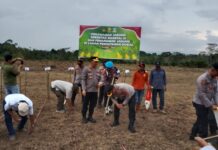 Dukung Swasembada Pangan, Polres Morut Tanam Jagung Serentak di Desa Po’ona