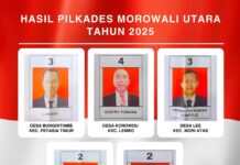 Berikut Perolehan Suara Pilkades Serentak di Morowali Utara, Desa Bungintimbe Hanya Selisih Tiga Suara