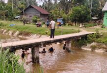 Seorang Anak Dikabarkan Tenggelam di Irigasi Tomoni