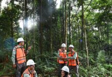 Komitmen Pada Keberlanjutan, PT Vale Hijaukan Area Bekas Tambang
