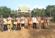Dukung Program Ketahanan Pangan Nasional, Pemdes Teromu dan Polres Lutim Tanam Jagung Bersama