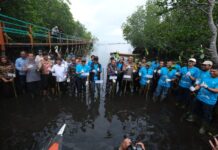 Peringati Hari Mangrove Sedunia, PT Vale Tanam 2.000 Mangrove dan Lakukan Restorasi Terumbu Karang untuk Pulihkan Ekosistem Pesisir Malili