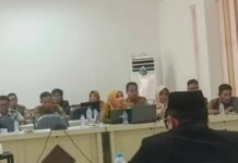 Dana BKK Rp. 1 Miliar Per Desa di Luwu Timur Ditarik, Dana Hibah Rp. 2 Miliar untuk 33 Desa Dibagi OPD