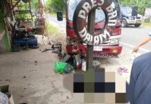 Mobil Truk Vs Motor Honda Beat Tabrakan di Sabbang, Dua IRT Meninggal Dunia