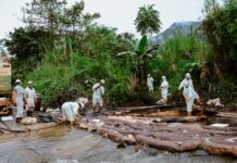 Komitmen Pulih Bersama: PT Vale Buka Ruang Aduan, Perkuat Kolaborasi Bersama untukTowuti