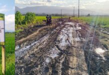 Keciprat Dua Kilometer Pengaspalan, Kades Selli: Ini Bukti Nyata Komitmen Bupati Bone