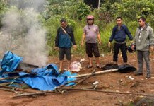 Tegas ! Polsek Towuti Grebek dan Bakar Arena Judi Sabung Ayam