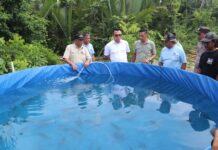 Bupati Morowali Utara Panen Perdana Sekaligus Tinjau Budidaya Ikan