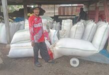 Musim Ebi, Nelayan di Desa Ungkea Hasilkan Ratusan Juta Rupiah