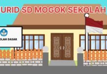 Waduh ! Murid SD di Luwu Timur Mogok Sekolah Tolak Kepala Sekolah Baru