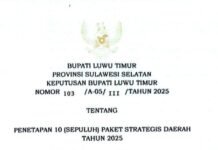 Berikut 10 Paket Strategis Daerah Luwu Timur Tahun 2025