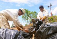 Progres Pemulihan PT Vale di Towuti: dari Respon Darurat Menuju Solusi Terstruktur