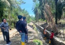 Usai Reses, Anggota DPRD Luwu Utara Dapil 3 Sidak Pekerjaan Rehabilitasi Jaringan Utama di Dua Desa