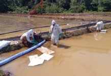 Investigasi Independen Tim Ahli di Towuti: Kebocoran Pipa Minyak Dipicu Geologi, Lingkungan Tetap Aman