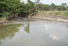 Wujud Nyata Pemulihan di Towuti, PT Vale Tuntaskan Enam Titik Penanganan Tumpahan Pipa Minyak