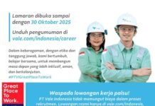 PT Vale Buka Lowongan Kerja, Dua Posisi untuk Masyarakat Luwu Timur Satu Posisi untuk Umum