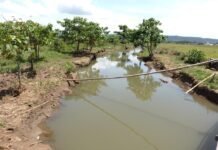 Komitmen untuk Lingkungan dan Masyarakat Towuti, PT Vale Tegaskan Kualitas Air Aman dan Pemulihan Berjalan Terukur