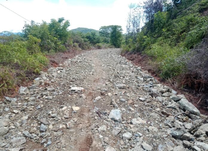 WhatsApp Image 2025-10-27 at 15.28.07