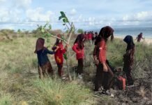 Generasi Pulau Kera Bangkit, Siswa dan Warga Tanam Pohon Waru untuk Selamatkan Lingkungan