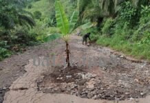 Warga Luwu Timur Open Donasi Perbaikan Jalan, 70 Sak Semen Sudah Terkumpul