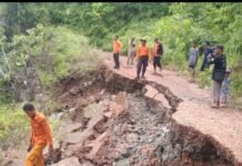 BPBD Luwu Timur Gerak Cepat Cek Jalan Ambles di Desa Tarabbi