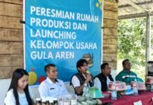 PT Vale Transformasi Desa Balambano Sebagai Penghasil Ballo Pahit Jadi Gula Aren